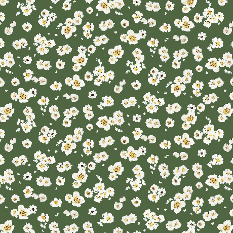 FLORA & THE FOX          